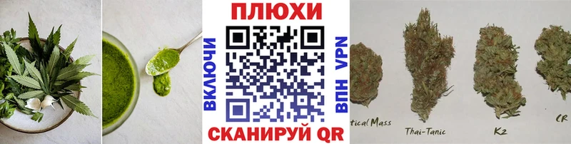 дарк нет официальный сайт  Ачхой-Мартан  Печенье с ТГК конопля 